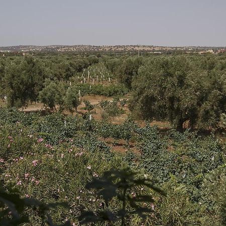 Ryad De Vignes " Le Val D'Argan " Ounara Exteriér fotografie