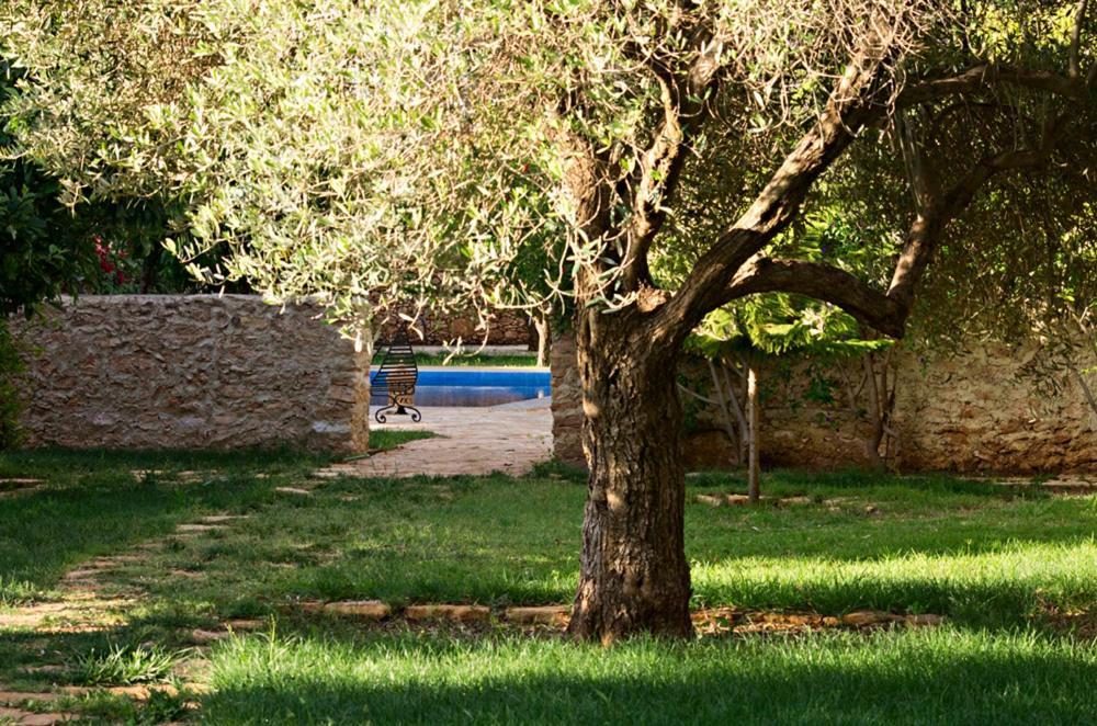 Ryad De Vignes " Le Val D'Argan " Ounara Exteriér fotografie