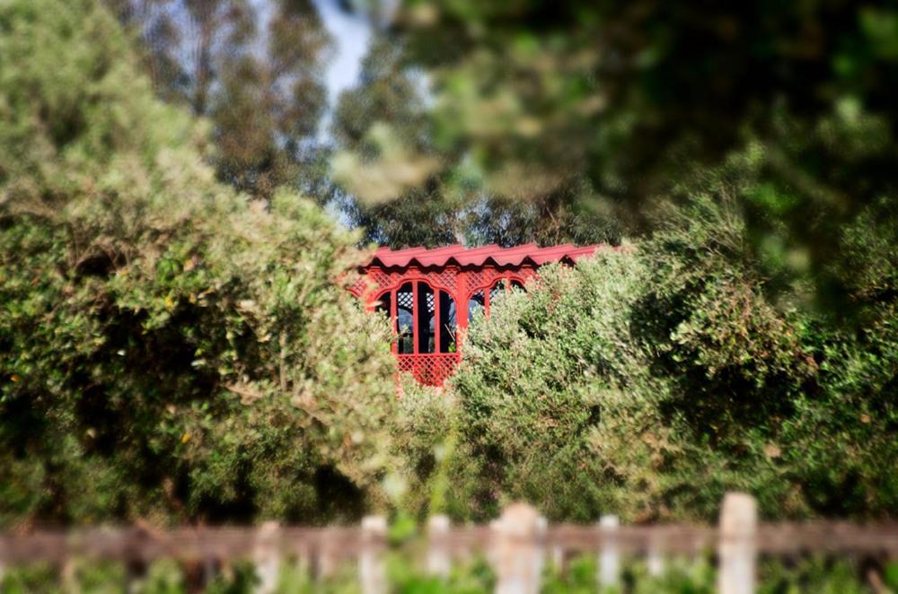 Ryad De Vignes " Le Val D'Argan " Ounara Exteriér fotografie