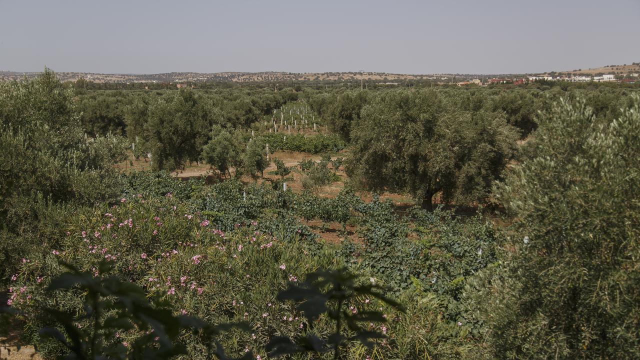 Ryad De Vignes " Le Val D'Argan " Ounara Exteriér fotografie